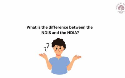 What is the Difference Between the NDIS and the NDIA?